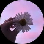 asmaa omar  - Facebook