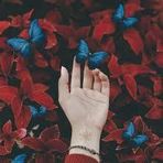 Asmaa omar - Facebook