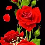 Asman ali - Facebook