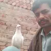 asman ali - @asman.ali95 - TikTok