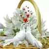 Asmeret Tewelde - @user379084709 - TikTok