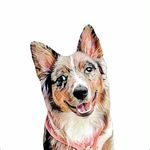 🐾Aspen Meadows🐾 - @wooferella - Instagram