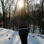 Aspen Meadows - @aspenmeadows - Instagram