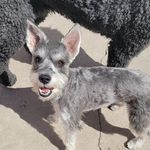 Aspen Meadows Pet Resort - @aspenmeadowspetresort - Instagram