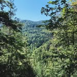 Aspen - @aspen.young_jg.44 - Instagram