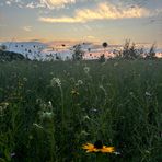 Aspen Young - Facebook