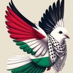 Assane Wade - Facebook
