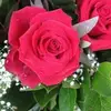 Assia Amine958 - @assiaamine958 - TikTok