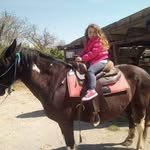 Assunta Granata - @assunta.granata.188 - Instagram