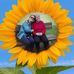 Assunta Granata - Facebook
