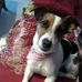 Maria Assunta Granata - Facebook