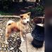 Maria Assunta Granata - Facebook