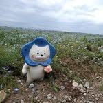 Aster Cheng - @astercheng - Instagram