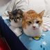 Aster Cheng - Facebook
