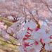 Aster Cheng - Facebook
