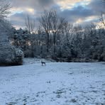 Easton Cox - Facebook