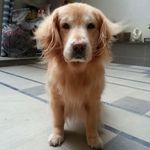 Astor Chan - @astor.chan.507 - Instagram