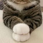 astrid_adam - @astrid_adam62 - Instagram