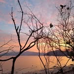 astridadamayanti - @astridadamayanti27 - Instagram