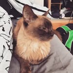 Astrid Adams - @frau_a_geb.zett - Instagram