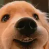 Astrid Barrios7375 - @astridbarrios7375 - TikTok