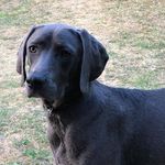 Astrid Berger - @astrid.berger.58 - Instagram