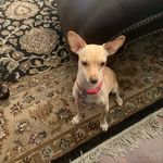 Astrid M. Lyons - @astrid.lyons.16 - Instagram