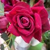 Astuti sharma 12 - @user459727123868 - TikTok