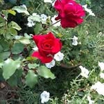 Asuncion Alonso Garcia - @asuncionalonsogarcia - Instagram