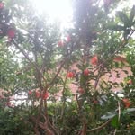 Asunción Alonso Martin - @asuncionalonsomartin - Instagram