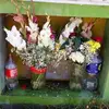 Asuncion Flores - @asuncion.flores79 - TikTok