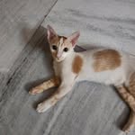 Asutosh nanda - @asutosh4952 - Instagram