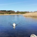 Atanaska Dimitrova - @atanaska.dimitrova.169 - Instagram