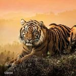 Ateeq Mohammed - @ateeq2908 - Instagram