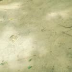 Ateesh Verma - @ateesh.verma.39 - Instagram