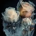 Atef Abbas - Facebook