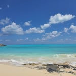 Atef Abdou - @atef.abdou.528 - Instagram
