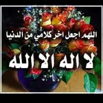 Atef Abdou - @atef.abdou.180 - Instagram