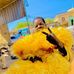 Atef Abdullah - Facebook
