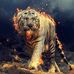 Atef Awad - Facebook