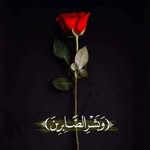 Atef Awad - @atefawad24 - Instagram