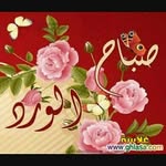 Atef Labib - @atef.labib.7777 - Instagram