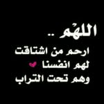 Atef Labib - @labibatef - Instagram