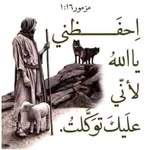 Atef Soliman - @atef.soliman68 - Instagram