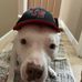Ethan Biallas - Facebook