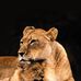 Athanasios Theodoridis - Facebook