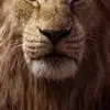 Athar_Anis - @nick.stegman - TikTok