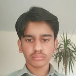 Athar Bhatti - @nokar_punjtan_da - Instagram