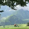 Athar Hassan - @athar123450 - TikTok
