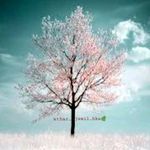 Abu Ali 💐 - @athar_jamil_ - Instagram